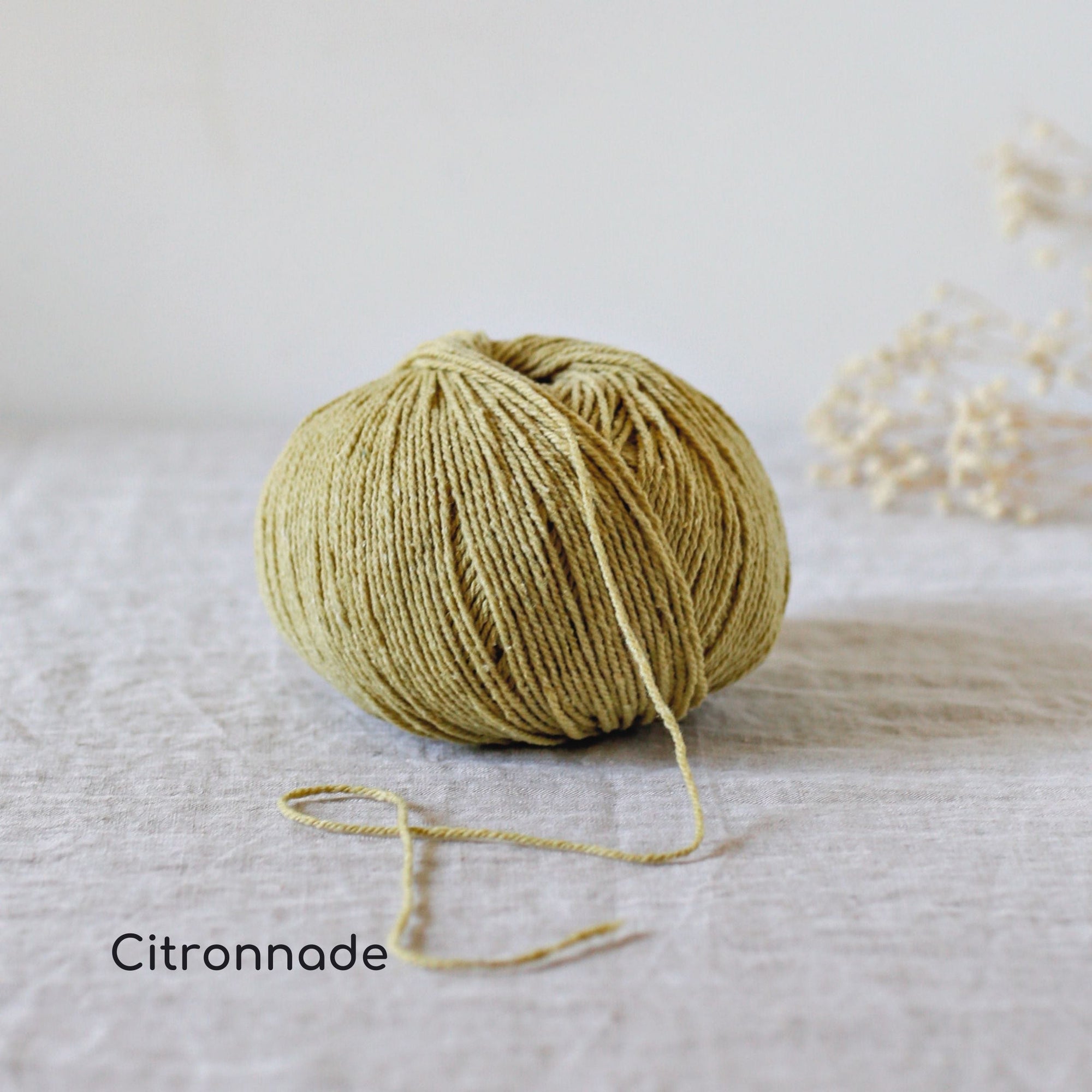 De Rerum Natura - Candide