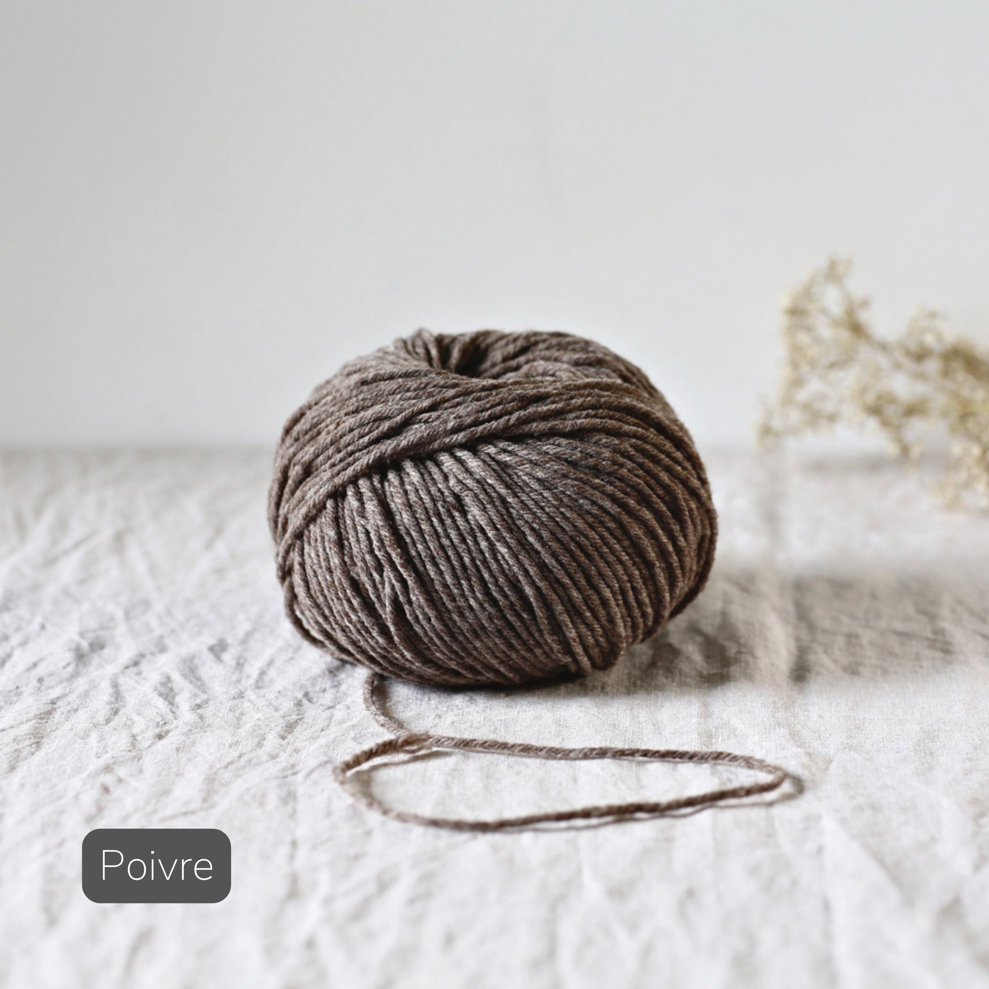 De Rerum Natura - Cyrano