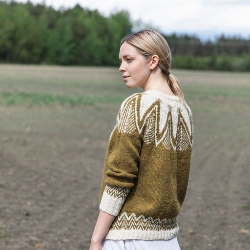 Jenna Kostet - Neulottu Kalevala